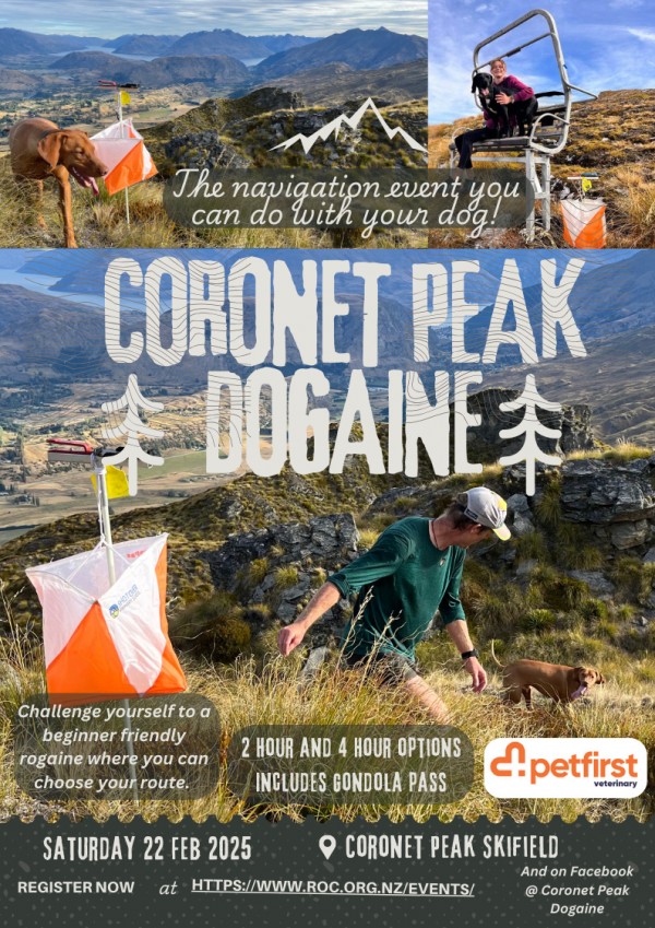 Coronet peak Dogaine